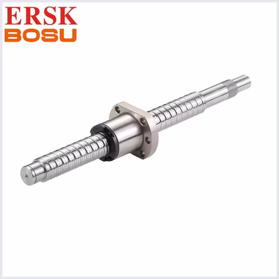 Basic Customization CNC Precision Linear Guide Rail Ball Screw