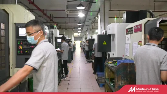 Der Fabrikhersteller in Dongguan fertigt CNC-Bearbeitungsteile individuell an